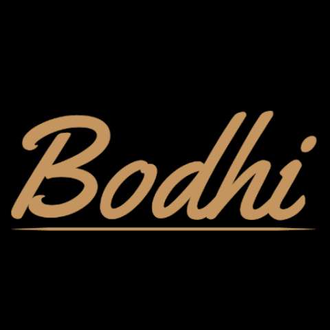 Bodhi Communications Ltd photo